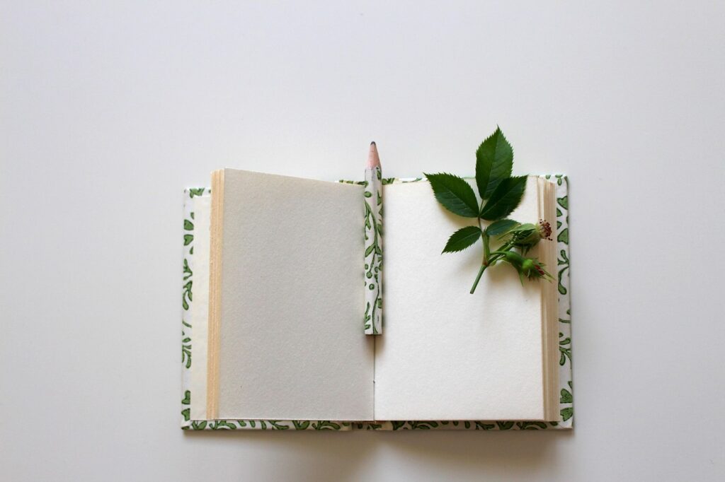 booklet, a book, notebook, write down, write, diary, enter, notes, note, paper, unlabeled, unwritten, writing tool, empty, writing utensil, office supplies, books, pitched, office utensils, macro, close up, stationery items, diary, diary, diary, diary, diary